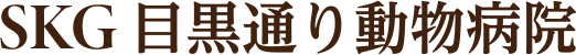 目黒通り動物病院　ホームへ